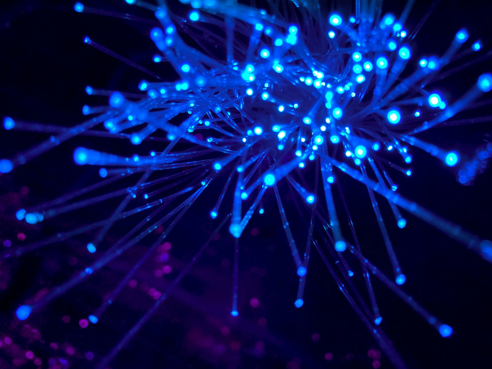 Glowing fibre optic strands